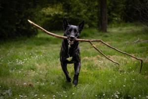 Marie-Emmanuelle DIOT LAPORTE - Memograph