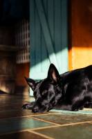 Marie-Emmanuelle DIOT LAPORTE - Memograph